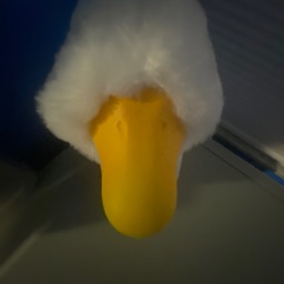 Chris Medina (Miner 737)